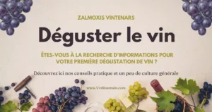 voici comment déguster le vin comme un pro