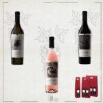 Coffret Caii de la Letea Vol. II