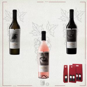 Coffret Caii de la Letea Vol. II