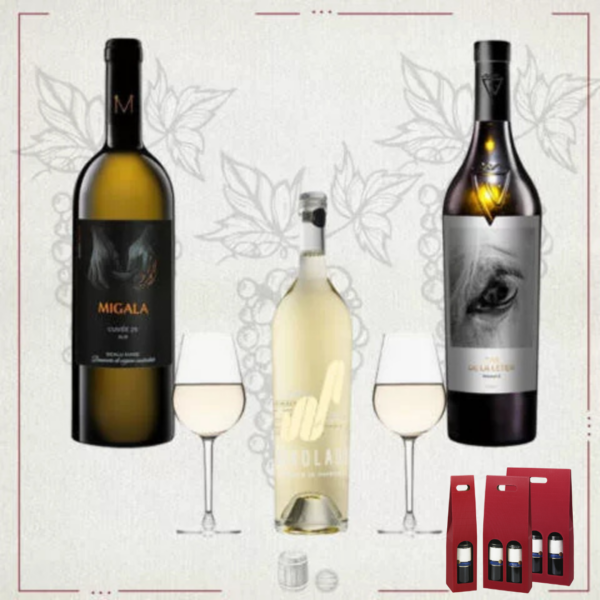 Coffret Tout Es Blanc 2