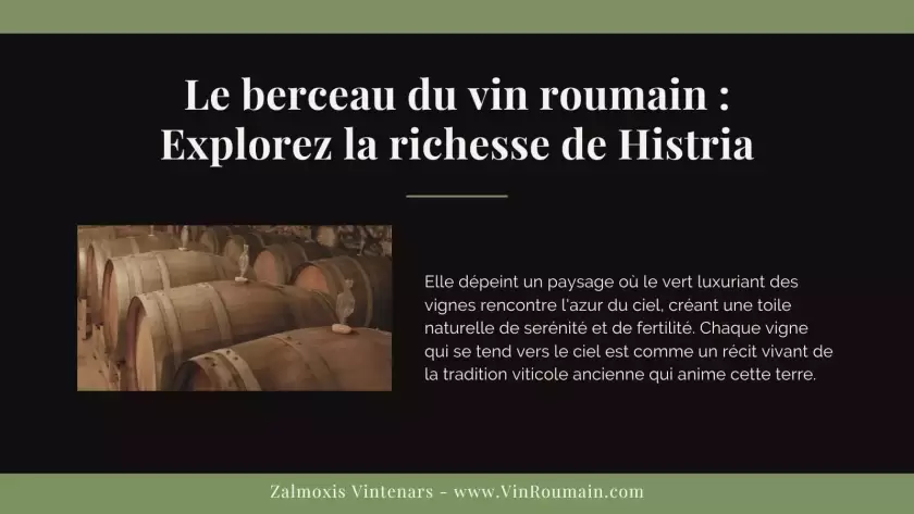 Explorez la richesse de Histria - Le berceau du vin roumain